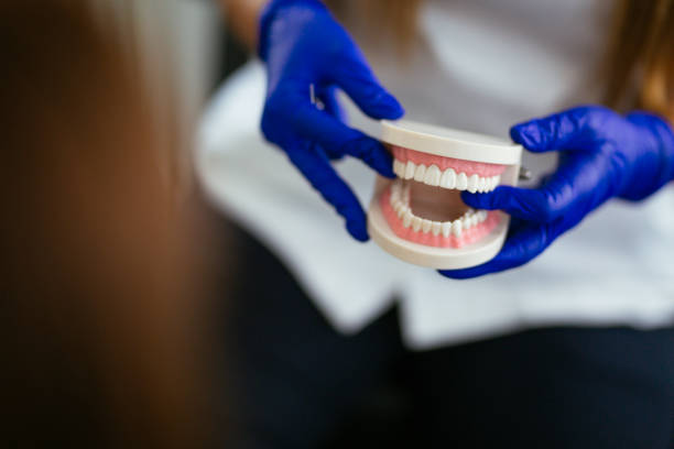 Professional Dental Services in Lexington, TX